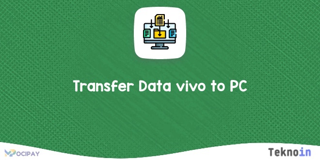Transfer Data vivo to PC