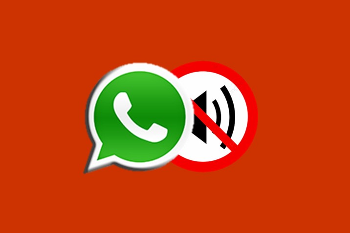 Fitur Bisukan Status Whatsapp